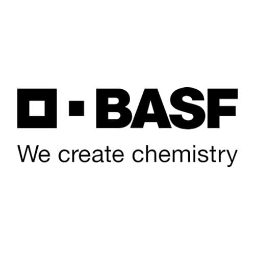 Coaching Directivo BASF